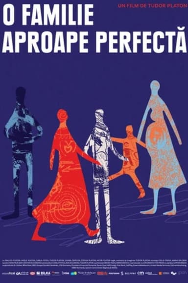 An Almost Perfect Family poster