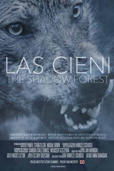 Las cieni poster