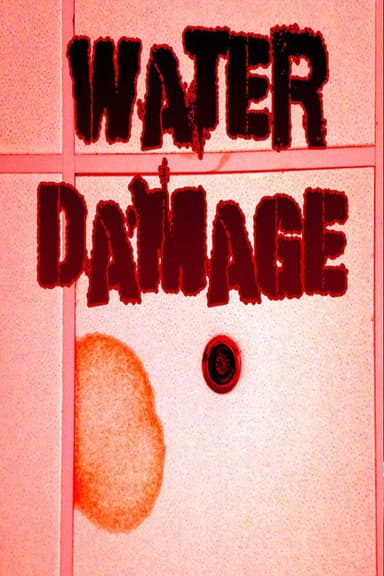 Water Damage poster
