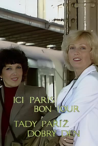 Tady Paříž, dobrý den poster
