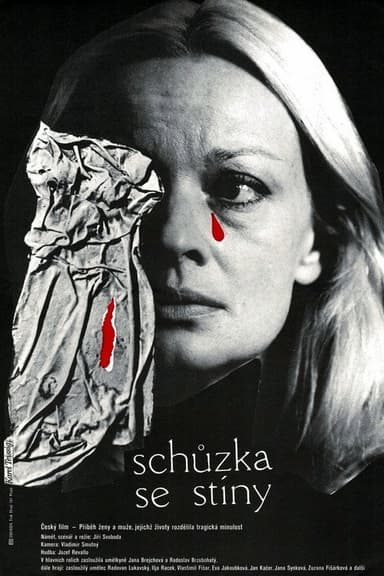 Schůzka se stíny poster