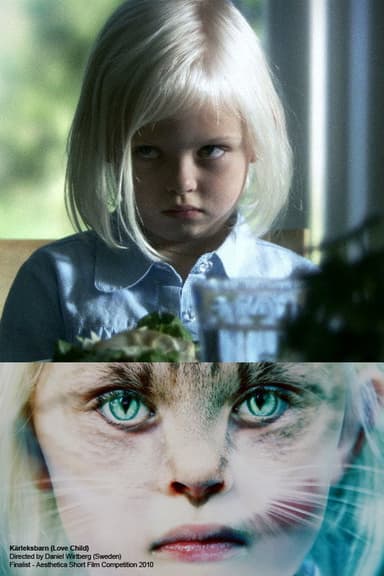 Love Child poster