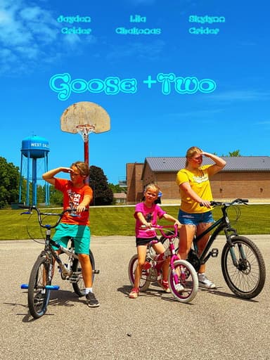 Goose + 2 poster