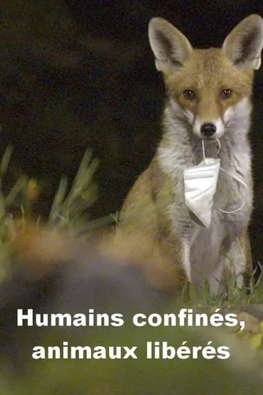 Menschen eingesperrt, Tiere befreit poster