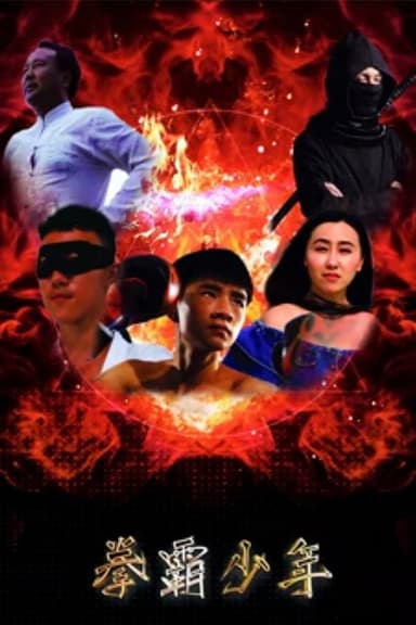 拳霸少年 poster