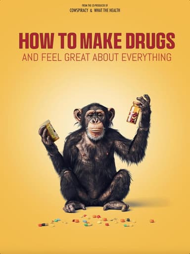 How to Make Drugs and Feel Great About Everything poster