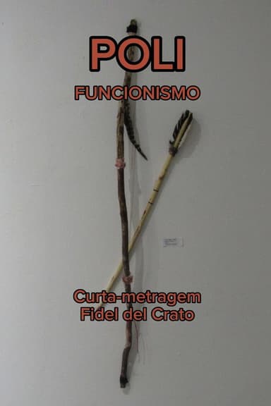 Polifuncionismo poster