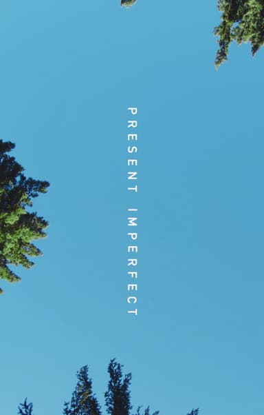 Present Imperfect poster