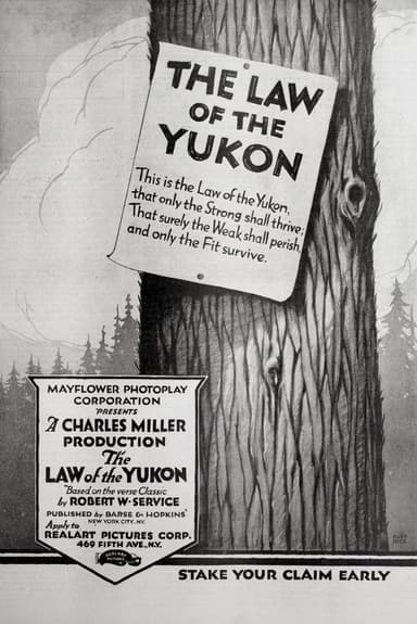 The Law of the Yukon poster