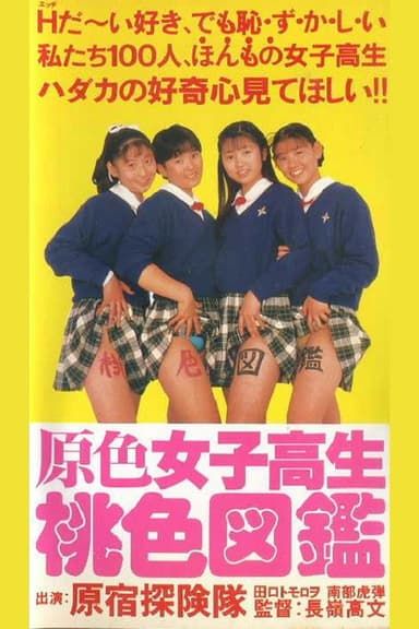 Primary Colour High School Girl Pink Picture Book poster