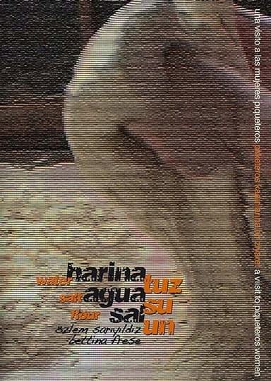 Water Salt Flour poster