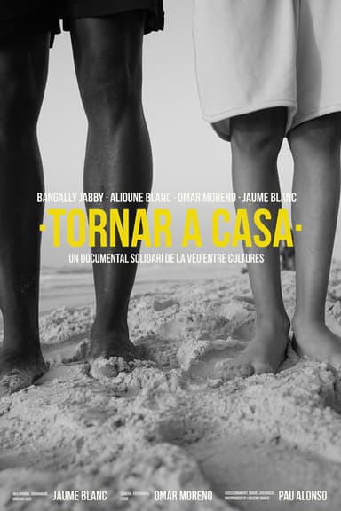 Tornar a casa poster