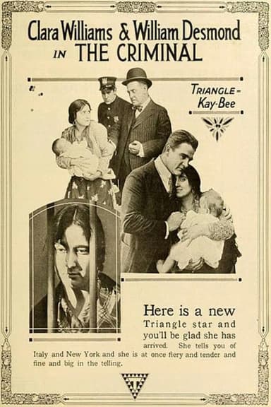 The Criminal poster