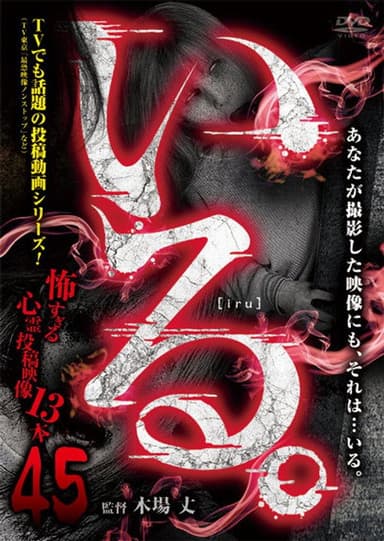 「Iru.」~ Kowasugiru Tōkō Eizō 13-hon ~ Vol.45 poster