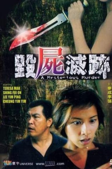 A Mysterious Murder poster
