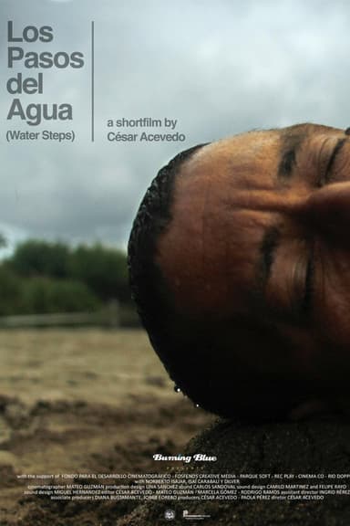 Water Steps poster