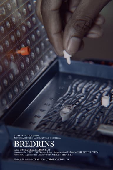 Bredrins poster
