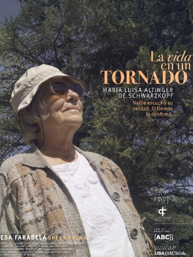 Life in a Tornado poster