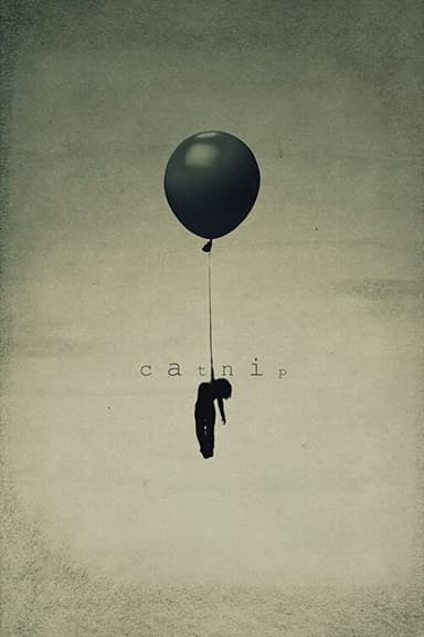 Catnip poster