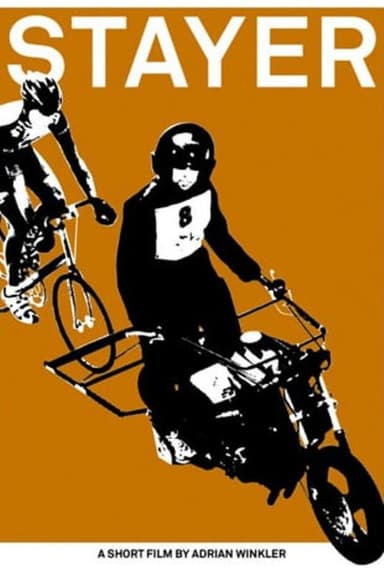 Steher poster