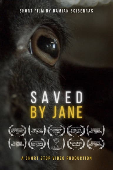 Saved By Jane poster