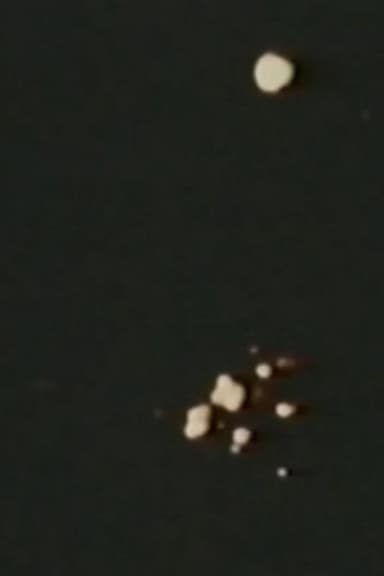 Song 11 poster
