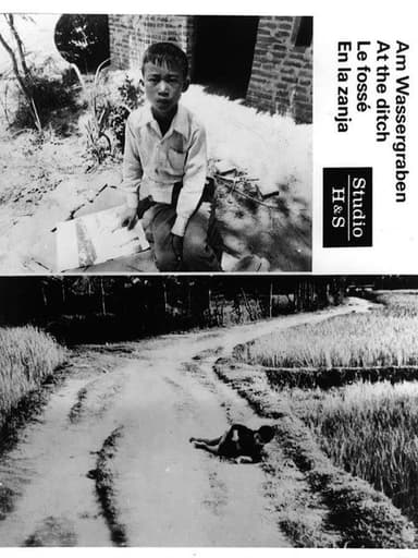 At the Ditch poster