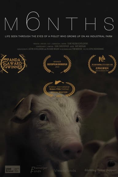 M6NTHS poster