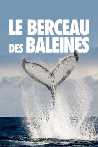 The Cradle of Whales poster