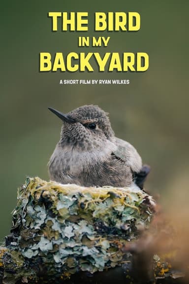 The Bird in My Backyard poster
