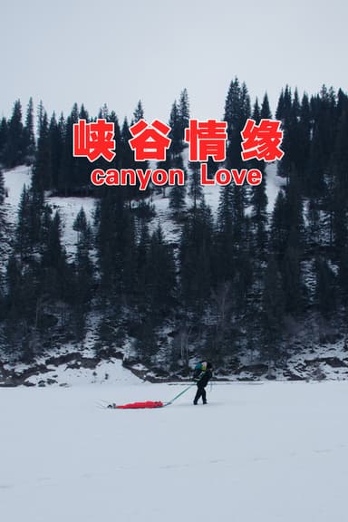 Canyon Love poster