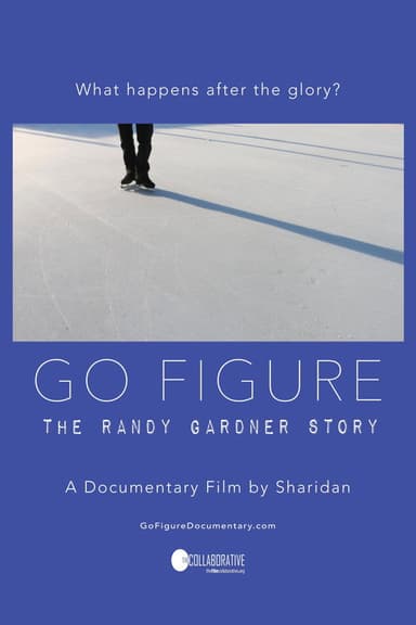 Go Figure poster