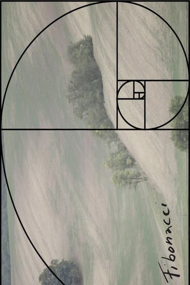 Fibonacci poster