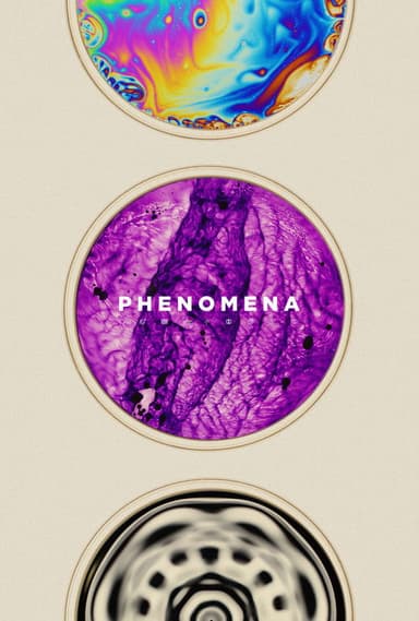 Phenomena poster