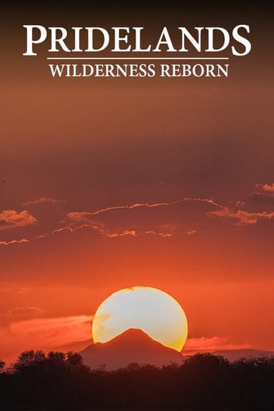 PRIDELANDS: WILDERNESS REBORN poster