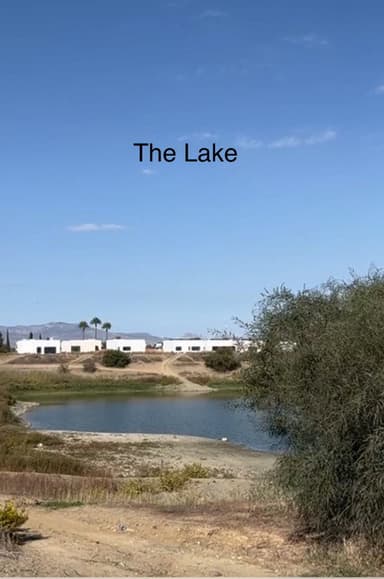 The Lake poster