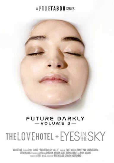 Future Darkly 3 poster