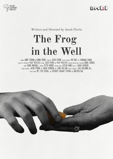 The Frog in The Well poster