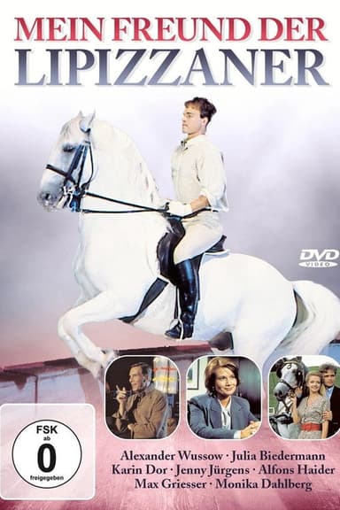 Mein Freund, der Lipizzaner poster