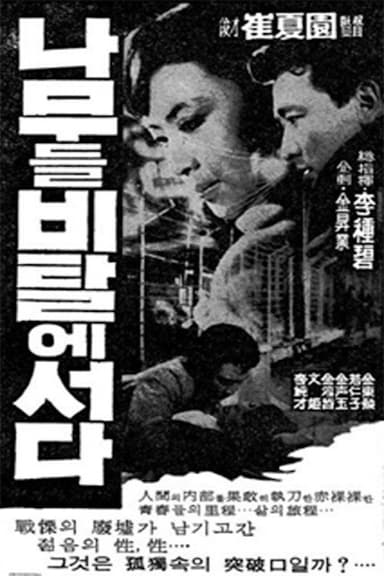 Trees Stand on Slope poster