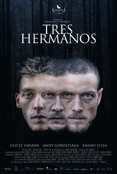 Three Brothers poster