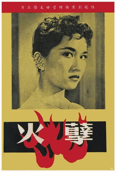 Evil Fire poster