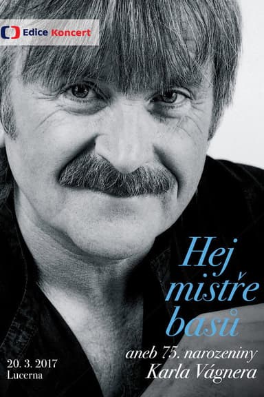 Hej mistře basů poster