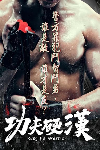 功夫硬汉 poster