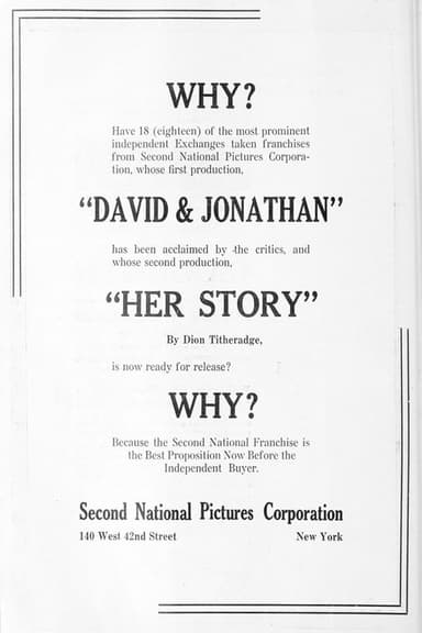 Her Story poster