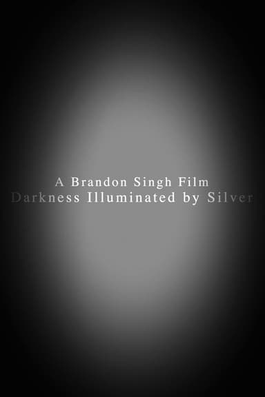 Darkness Illuminated by Silver poster