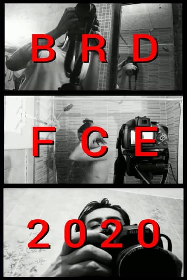 BRDFCE2020 poster