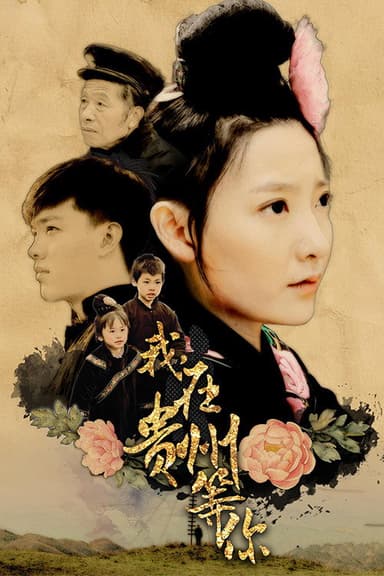 我，在贵州等你 poster