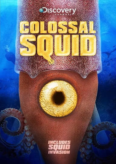 Colossal Squid poster