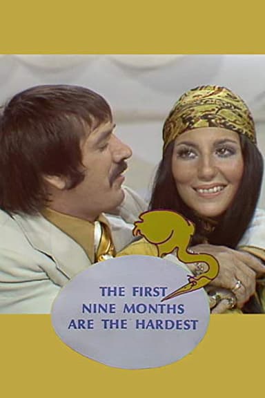 The First Nine Months Are the Hardest poster